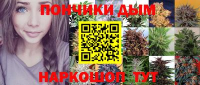 крисы Гусиноозёрск