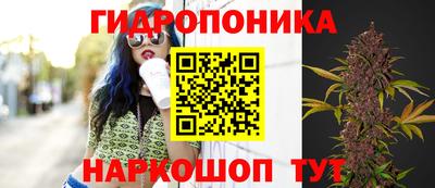 крисы Гусиноозёрск