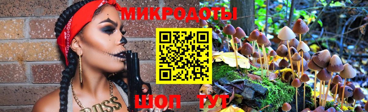 закладка  Вход с VPN  Галлюциногенные грибы прущие грибы  Курчатов  Галлюциногенные грибы Psilocybine cubensis 